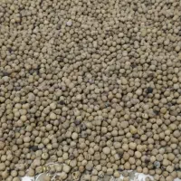 فروش گردو خشک شده ب شرط