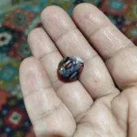 سنگ قدیمی|کلکسیون اشیاء عتیقه|بم, |دیوار