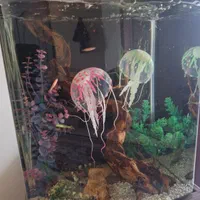 اکواریوم کمدی ایستاده ۱/۵متری با کلیه لوازم