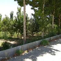 سرایدار نگهبان