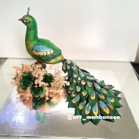 پذیرش انواع مدل حنا حنابندان و...