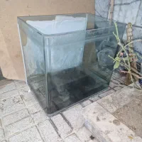 اکواریوم|ماهی|کرج, شهرک فهمیده|دیوار