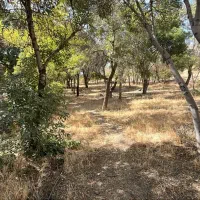 جوانی هستم اگر کسی جهیزیه قسطی میده معرفی کنید