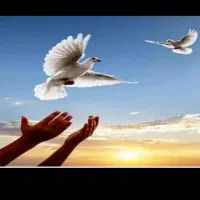 اجاره وثیقه اجاره سند اجاره ای فیش حقوقی ضمانت