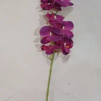 گل و گلدان|گل مصنوعی|ماکو, |دیوار