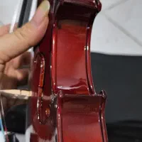 ساز ویولن تی اف|ویولن|اصفهان, باغ زرشک|دیوار