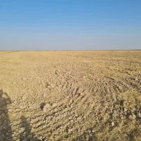 زمین کشاورزی هویزه