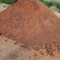 کود حیوانی گاوی و گوسفندی