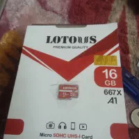 MEMOR 16GB LOTOUS