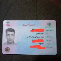 کارت ملی و گواهینامه گم شده به نام شاهمیرزایی