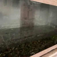 آکواریوم بزرگ ومتوسط