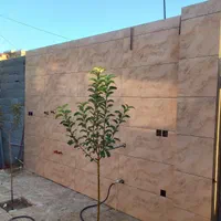 کاشی کارهستم|خدمات پیشه و مهارت|بجنورد, |دیوار