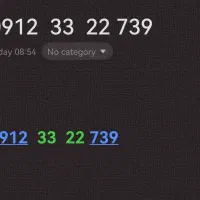 09123322739