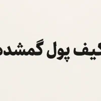 کیف پول گمشده