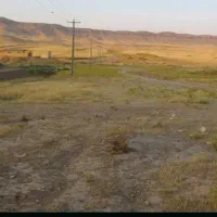 فروش-زمین-7000-متری-صحرای-نیمه-لار