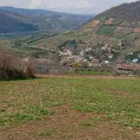 زمین-عالی-برای-سرمایه-گذاری