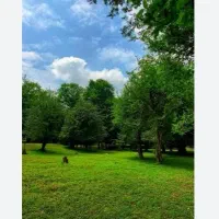 فروش زمین شهمیرزاد/لوکیشن ناب