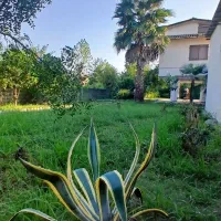 ویلا استخردار نوساز بیلیارد فوتبالدستی|اجارهٔ کوتاه‌مدت ویلا و باغ|شیرود, |دیوار