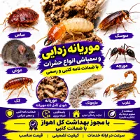 سمپاشی حشرات/10سال ضمانت/موریانه زدای/سوسک ساس موش