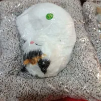 عروسک گربه موزیکال|اسباب‌‌بازی|اسلام‌شهر, شهرک سعیدیه|دیوار