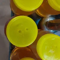 عسل کنار و عسل گون اصل|عمدهفروشی|عسلویه, |دیوار