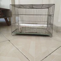 دو تا قفس پرنده