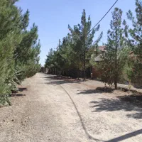 فروش زمین باغی۵۰۰متری درحسن آباد قهاب ۲۰ ک اصفهان|فروش زمین و ملک کلنگی|اصفهان, قهاب جنوبی|دیوار