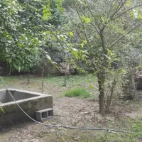 اجاره مسکونی در رشت|اجارهٔ خانه و ویلا|طاهرگوراب, |دیوار