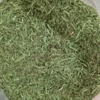 انواع سبزی خشک خانگی|خوردنی و آشامیدنی|شیراز, بید زرد|دیوار
