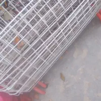 استند