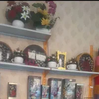 وسایل کامل گلفروشی در ماکو|گل و گیاه طبیعی|ماکو, |دیوار