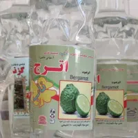 ویروس آنفلونزا