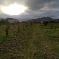 ۱۸۰۰۰ متر داخل بافت مناسب شهرک