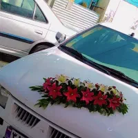 سفارش انواع دسته گل،گیفت،سینی حنا،بادکنک آرایی|صنایع دستی و سایر لوازم تزئینی|زابل, |دیوار