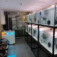 آکواریوم خانه دیسکس
