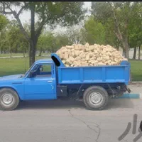 حمل انواع بار کمپرسی،مصالح،نخاله،کود حیوانی|خدمات حمل و نقل|چناران, |دیوار