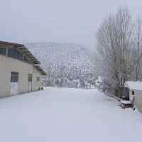 دعوت به سرمایه‌گذاری درکارخانه بسته بندی شکر|استخدام مالی، حسابداری، حقوقی|شیراز, ارم|دیوار