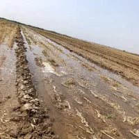 آب یاری و ماخار زمین کشاورزی انجام میدم