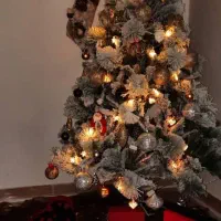 درخت کاج کریسمس(کاج برفی)