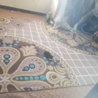 قالی
