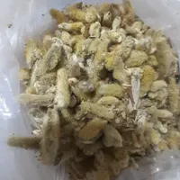 عطاری شیره میوه خرنوب اصل پلمپ معجون پک ناباروری|آرایشی، بهداشتی، درمانی|تهران, فرودگاه مهرآباد|دیوار
