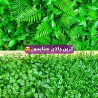 پخش و اجرا گرین وال (دیوار پوش سبز) و فنس چمنی|مصالح و تجهیزات ساختمان|تهران, یافت‌آباد|دیوار