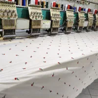 نیروی ساده خانم