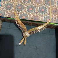 گردنی طلا نو خیلی شیک وخاص|جواهرات|یاسوج, |دیوار
