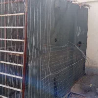 قفس بزرگ