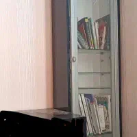 اینه ودوعددویترین