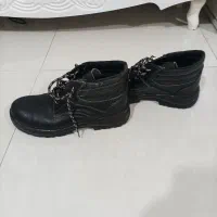 کفش کار|کیف، کفش، کمربند|نسیم‌شهر, |دیوار