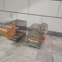 قفس سهره|لوازم جانبی حیوانات|اراک, |دیوار