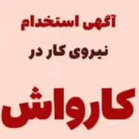 پذیرشگر کارواش-صندوق دار با حقوق زیاد|استخدام اداری و مدیریت|تهران, بنی‌هاشم|دیوار