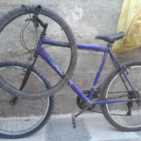 فروش فوری|دوچرخه، اسکیت، اسکوتر|کاشمر, |دیوار